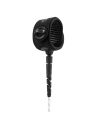 FCS Freedom Helix 6' Natural Black