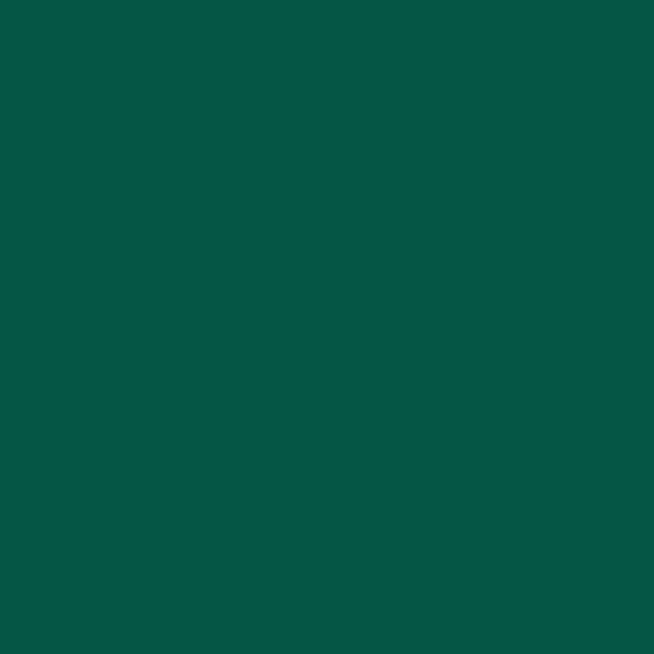 Couleur #065646