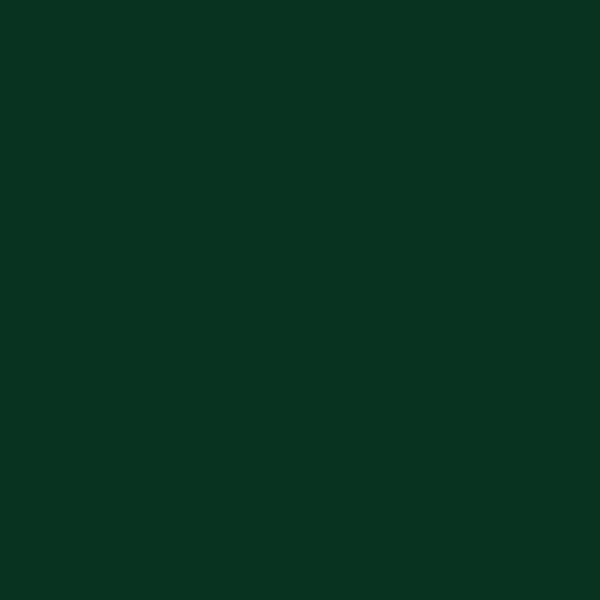 Couleur #083321