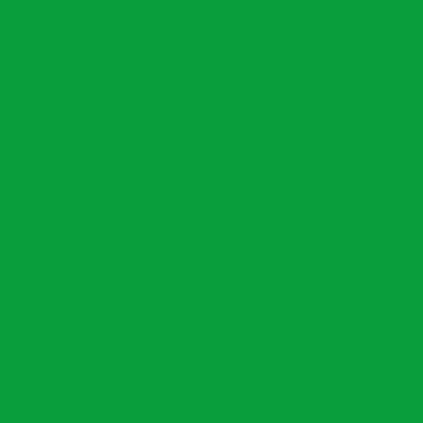 Couleur #099E3C
