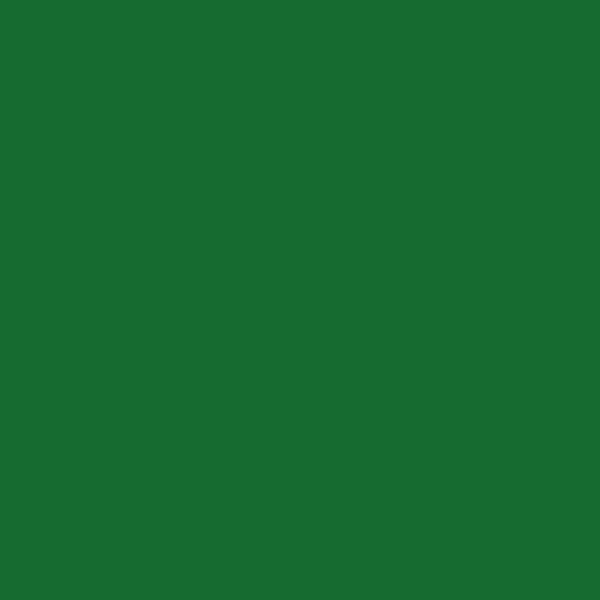 Couleur #166C30