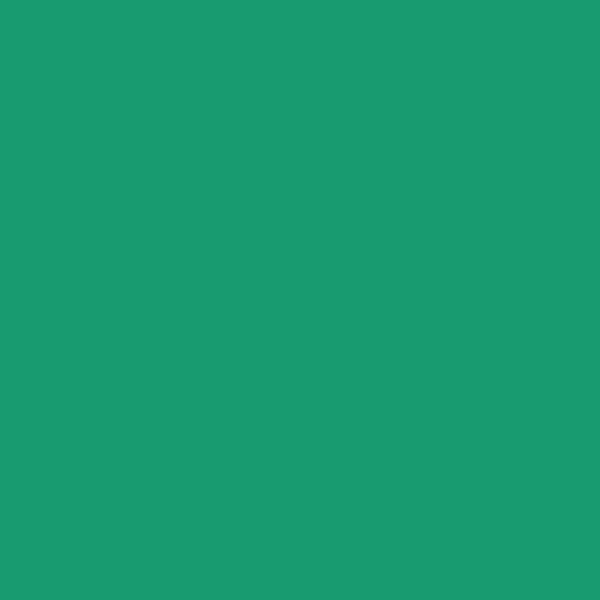 Couleur #189B70
