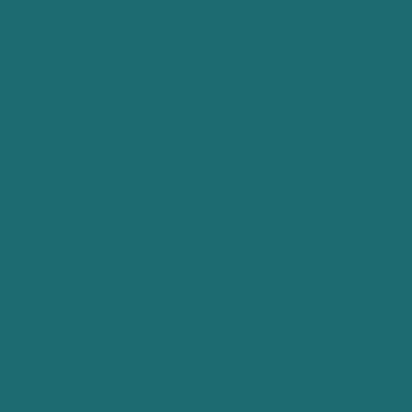 Couleur #1D6B71