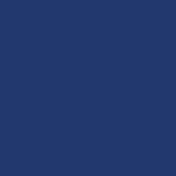 Couleur #22386E