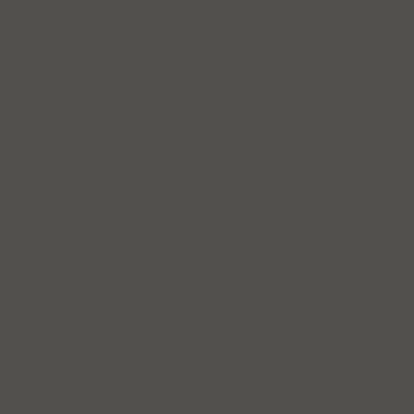Couleur #52504D