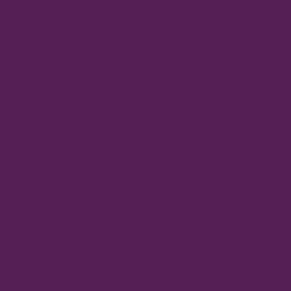 Couleur #551F55