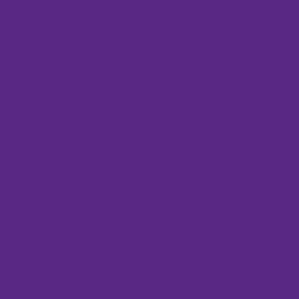 Couleur #592884