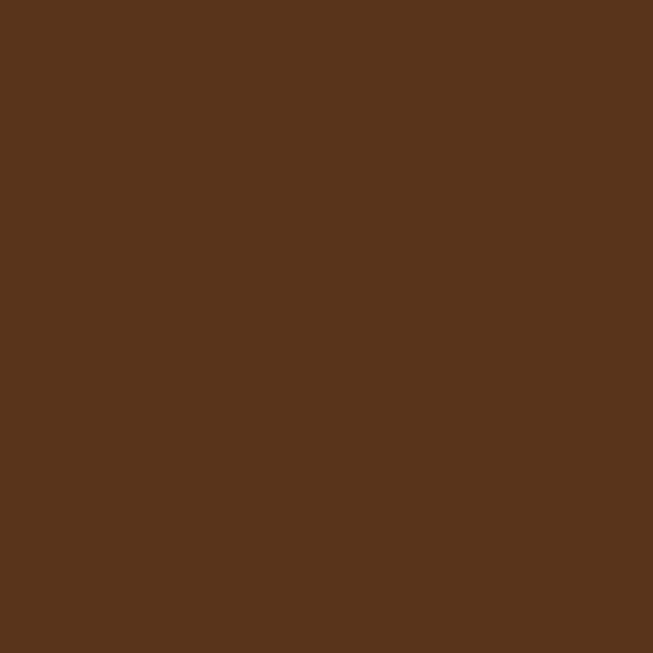 Couleur #59341B