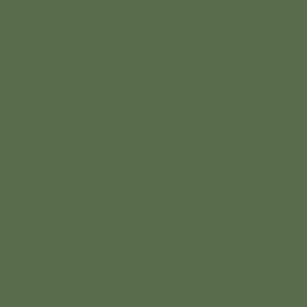 Couleur #596C4C