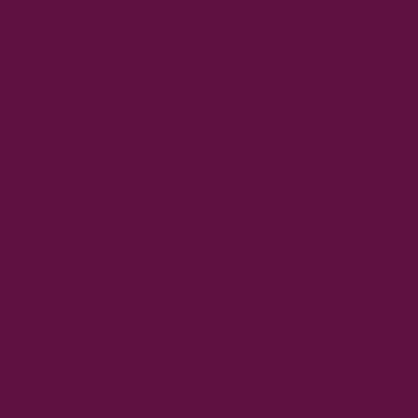 Couleur #5C133F