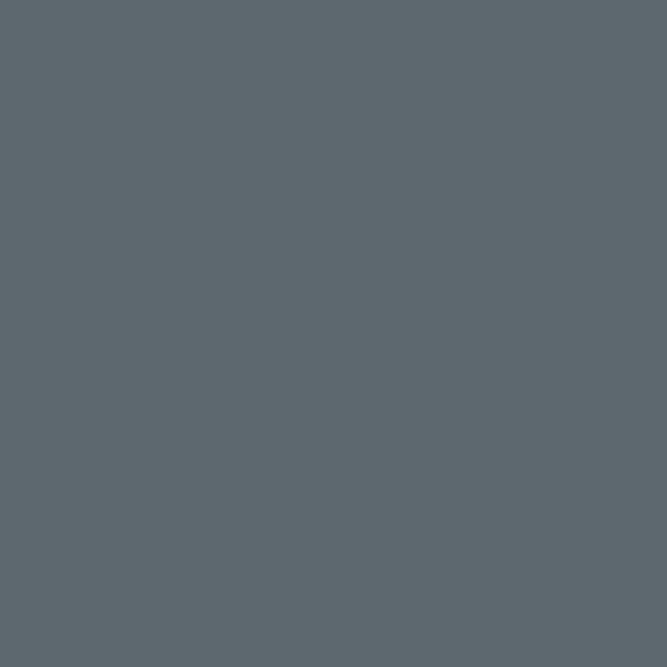 Couleur #5D686F