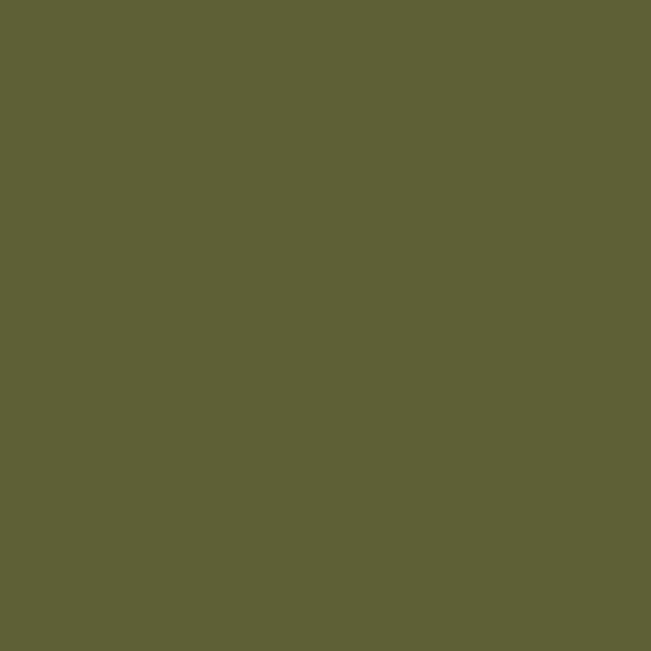 Couleur #5E6036