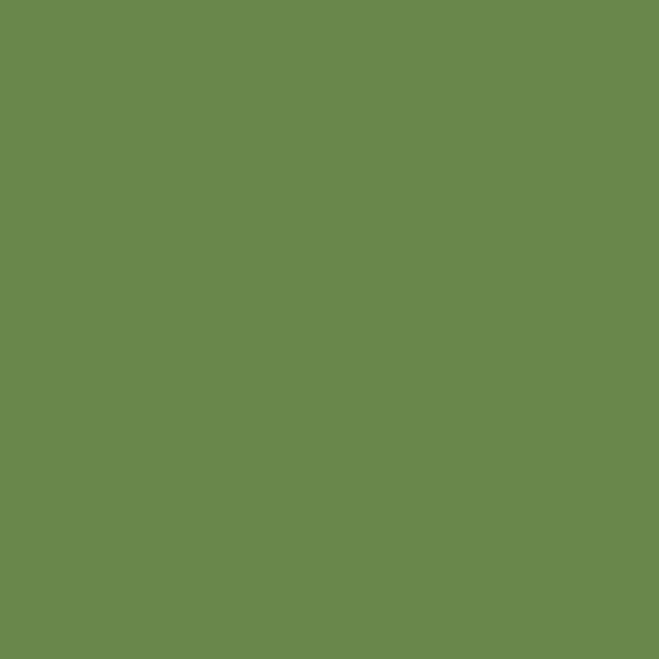 Couleur #6A8749