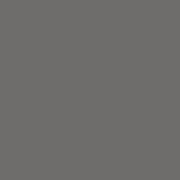 Couleur #6E6D6B