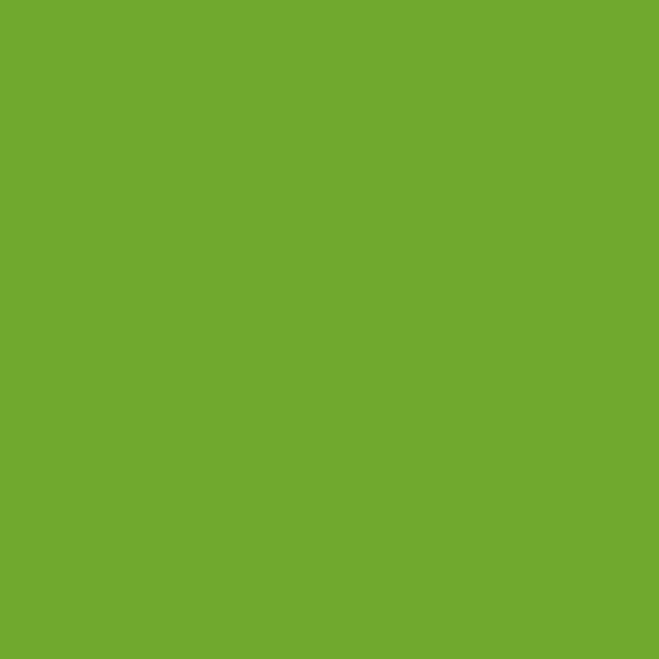 Couleur #70A92E