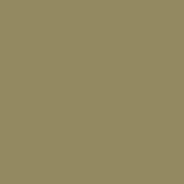 Couleur #938961