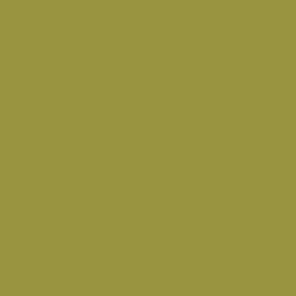Couleur #999440