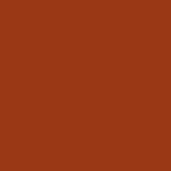 Couleur #9A3716
