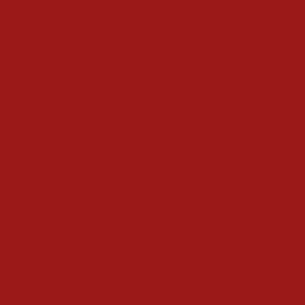 Couleur #9B1918
