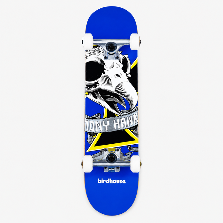 Birdhouse Comp LVL 1 Oversz SKL 7.25 (2 coloris)