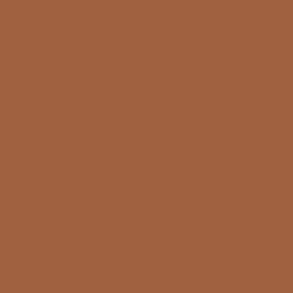 Couleur #A16140