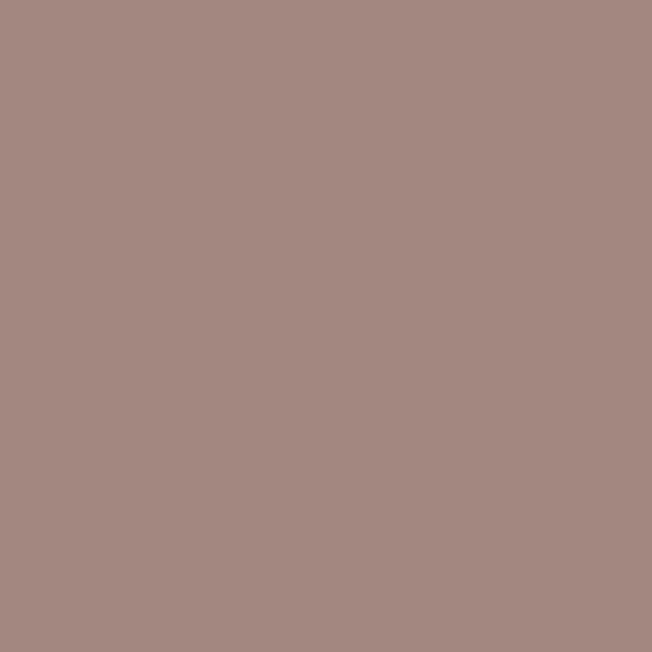 Couleur #A38780