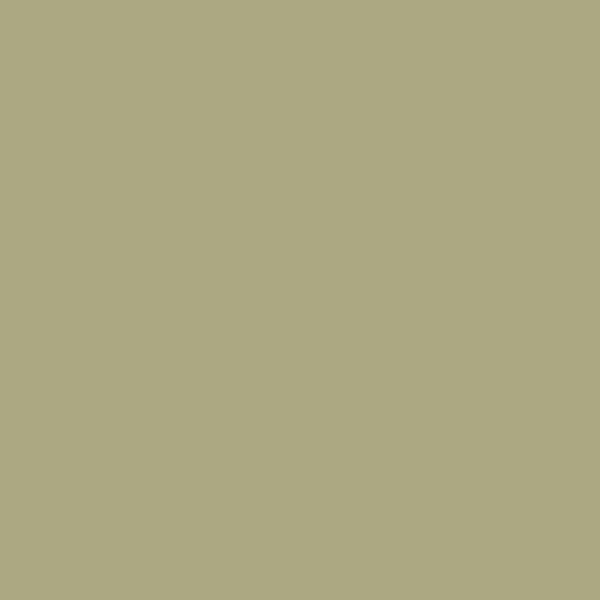 Couleur #AAA981