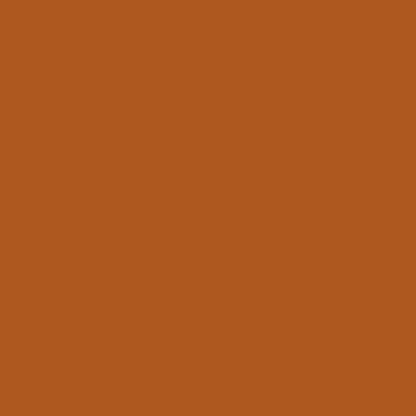 Couleur #AE581F