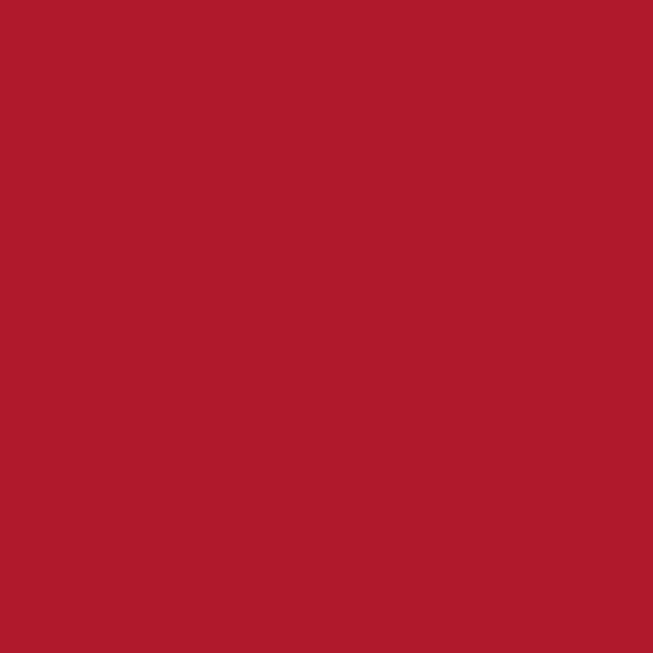 Couleur #AF182A