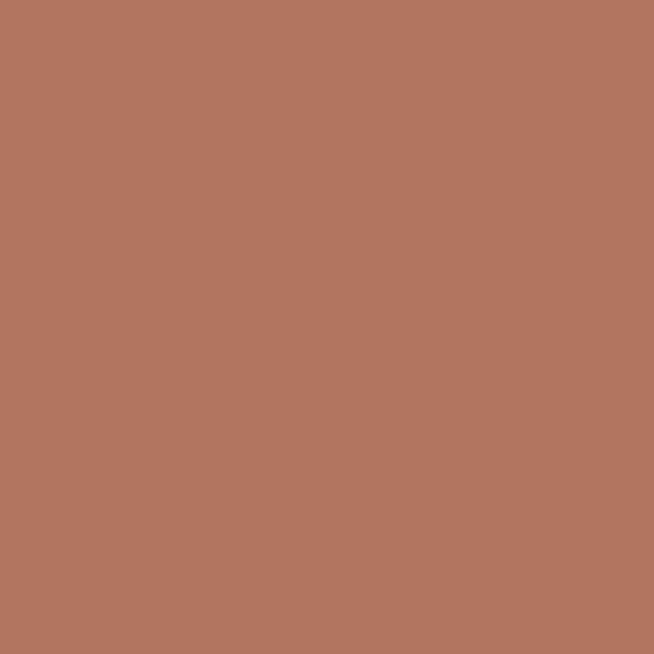 Couleur #AF755F