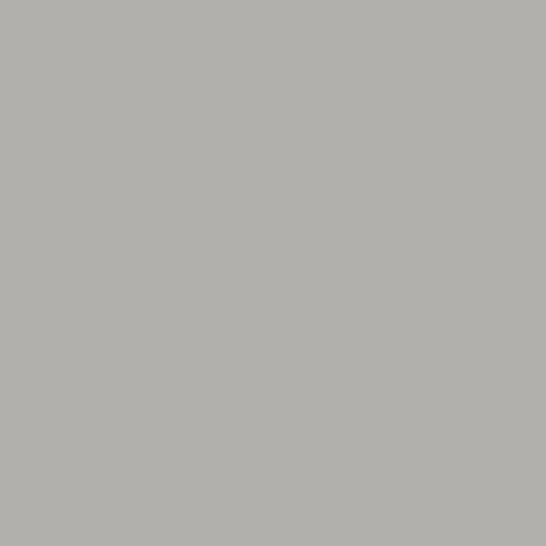 Couleur #B2B0AD