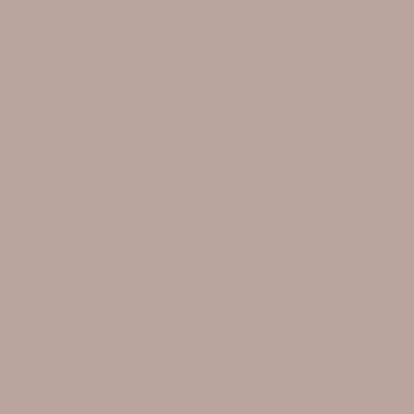 Couleur #B9A49E