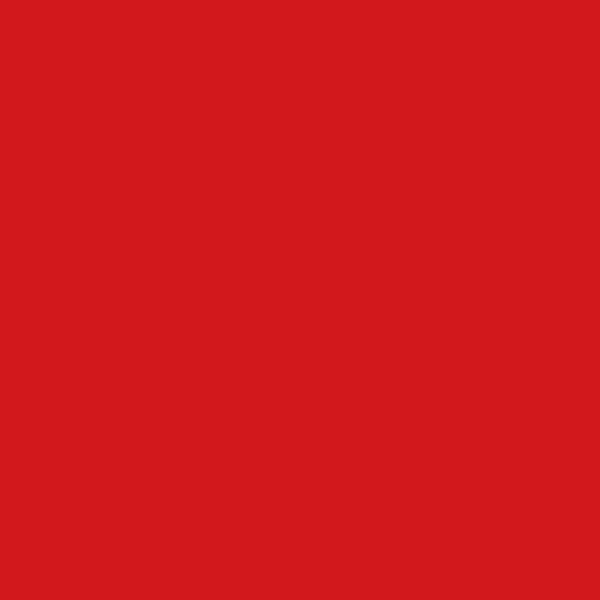 Couleur #D2181C