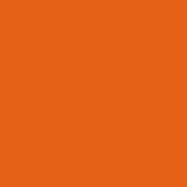 Couleur #E56117