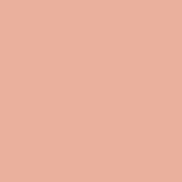 Couleur #EAB09D