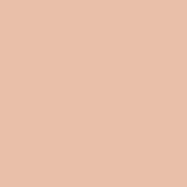 Couleur #EABDA9