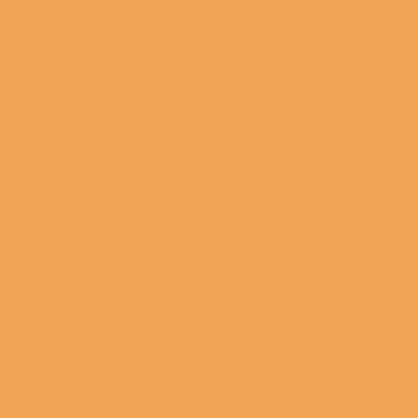 Couleur #EFA554