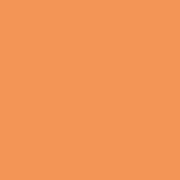 Couleur #F39556