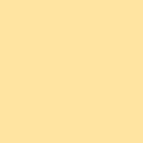 Couleur #FFE4A1