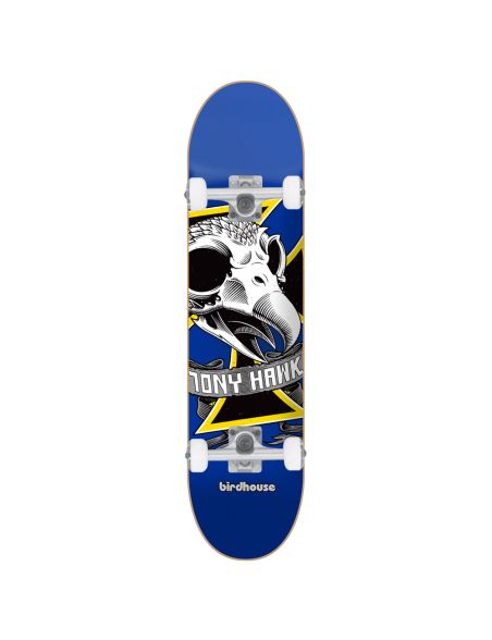 Birdhouse Level 1 Oversized Skull 7.25