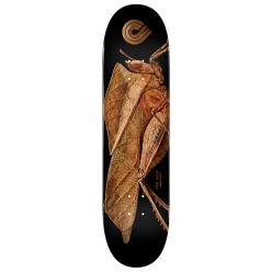 Powel Peralta Biss Leaf 8.5