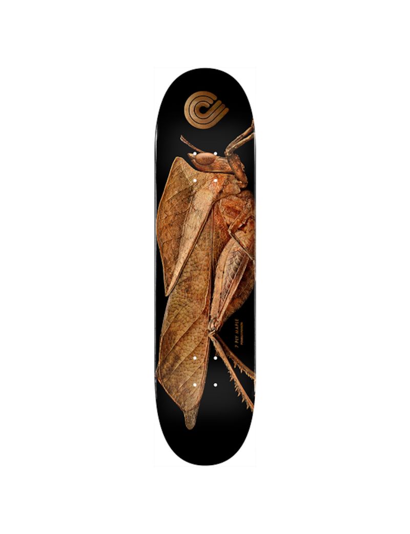 Powel Peralta Biss Leaf 8.5